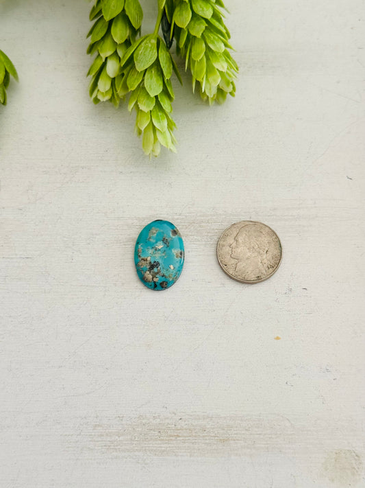Kingman Turquoise Cab