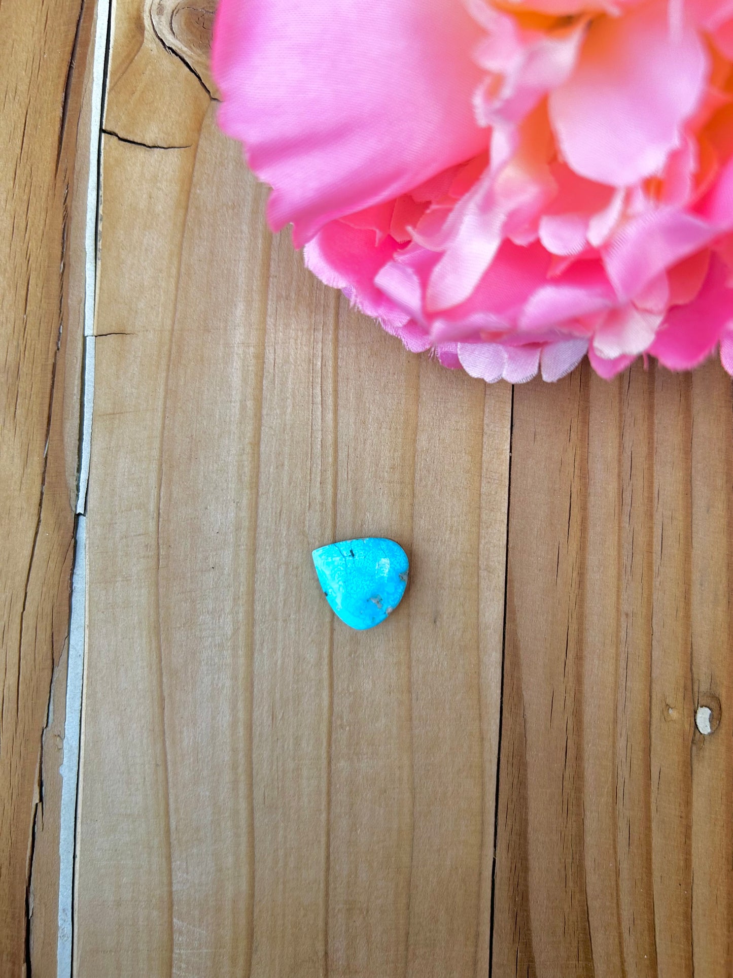 Blue Bird Turquoise Cabs