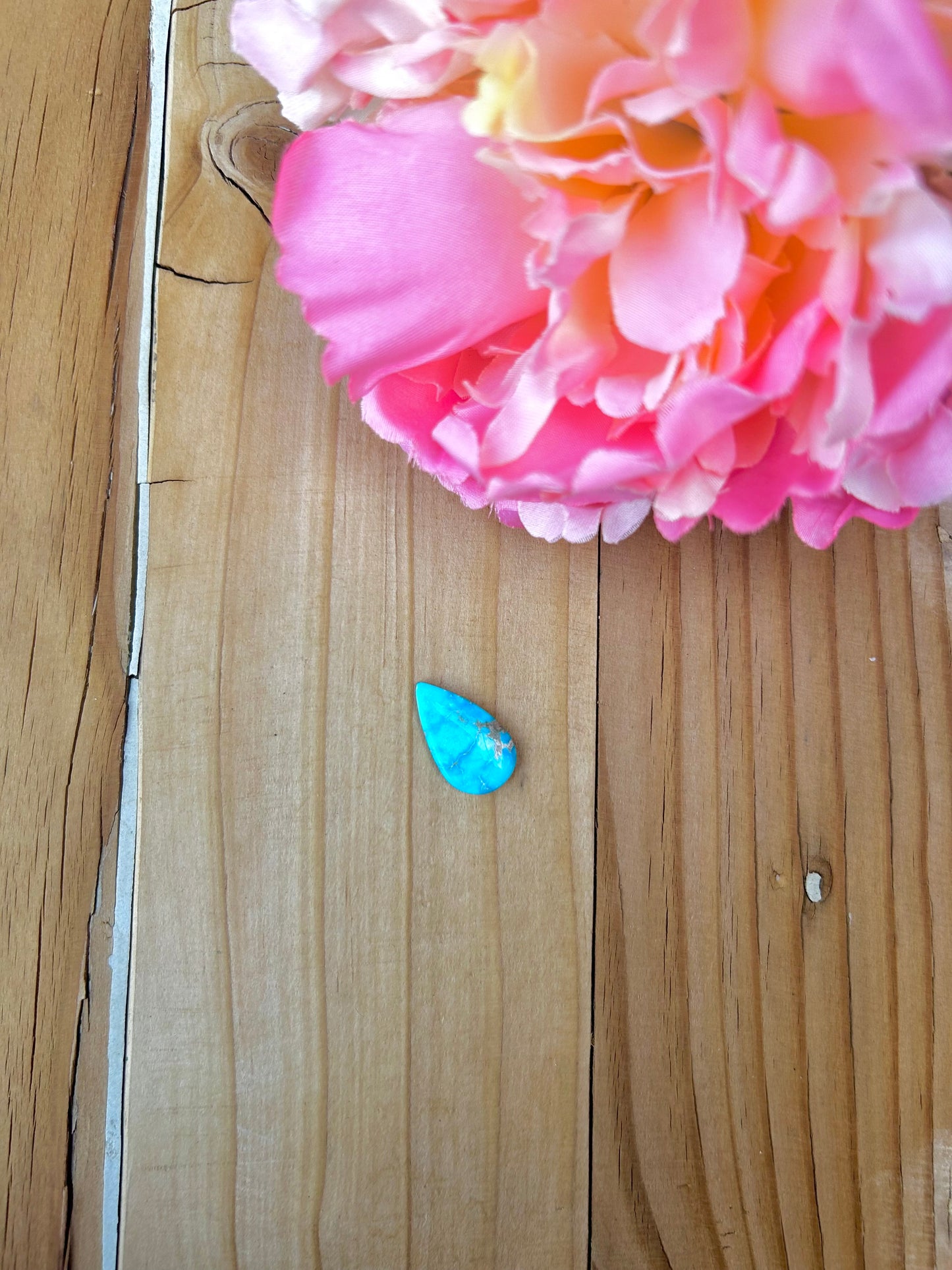 Blue Bird Turquoise Cabs