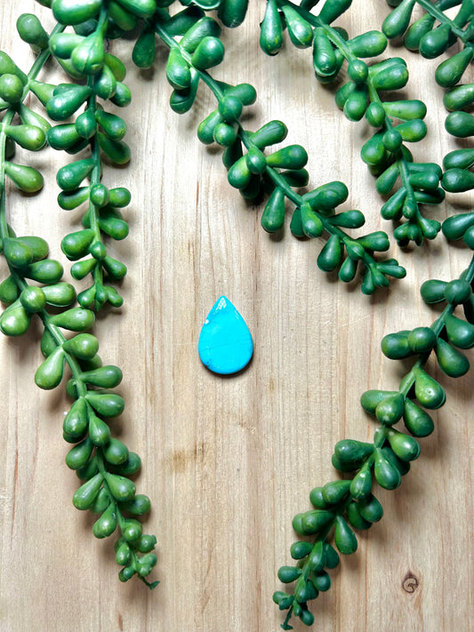 Blue Ridge Turquoise Cab