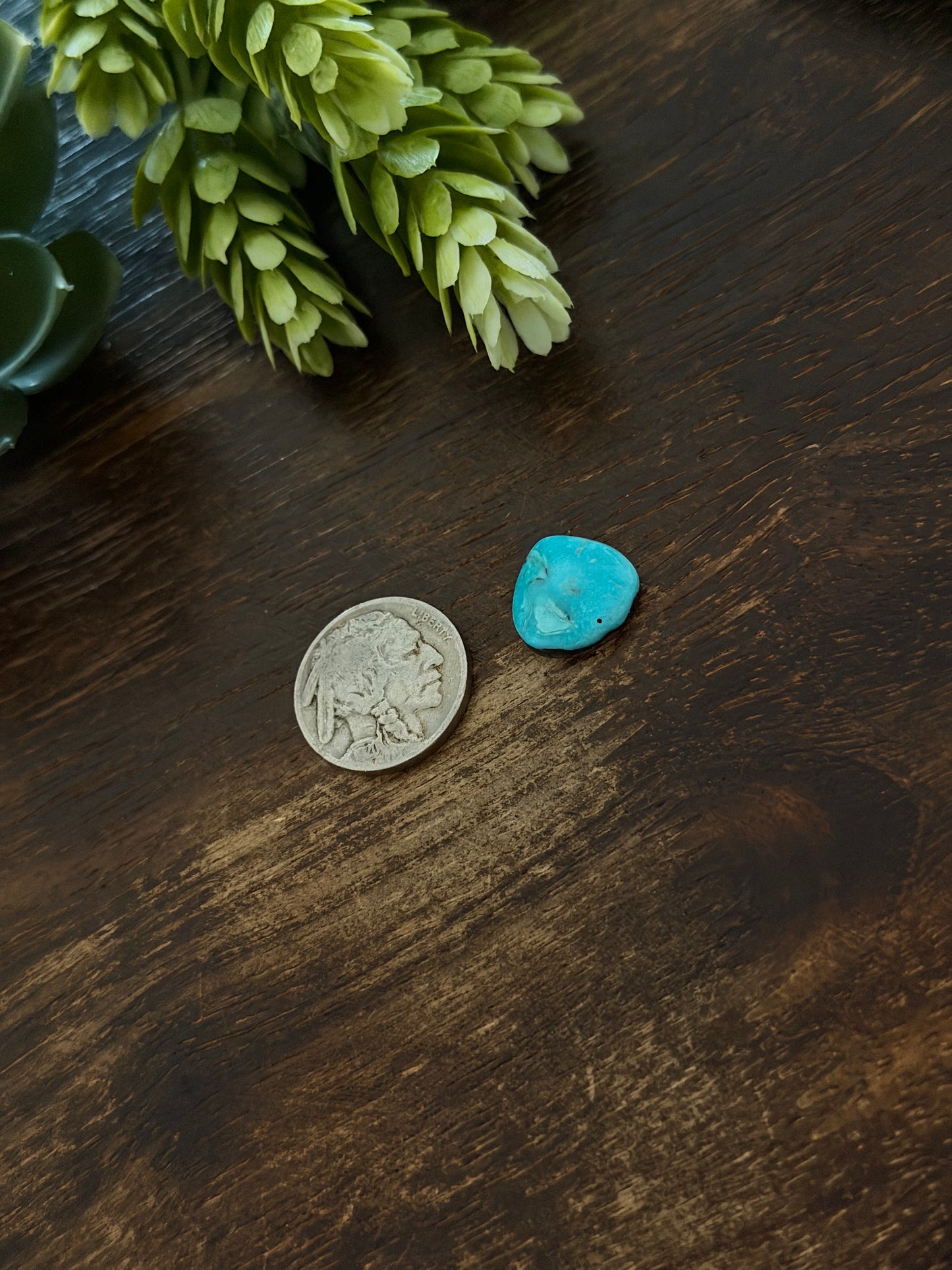 Blue Bird Turquoise Cab