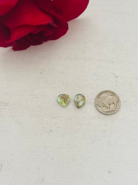 Palomino Variscite Cabs