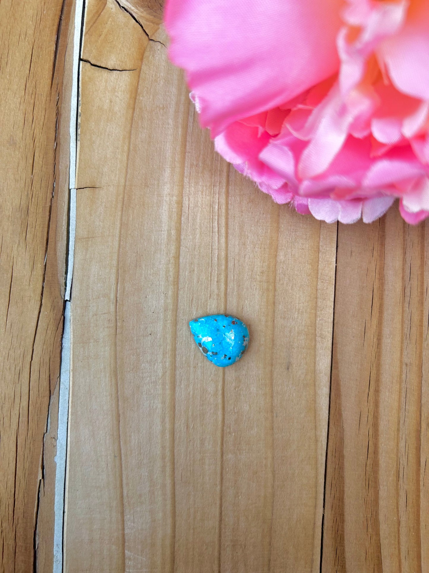 Blue Bird Turquoise Cabs