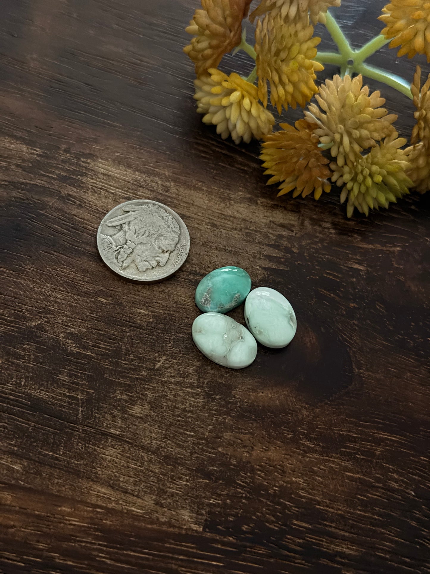 Paloma Variscite Cabs