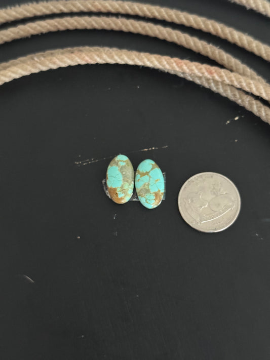 #8 Turquoise Earring Pair Cabs