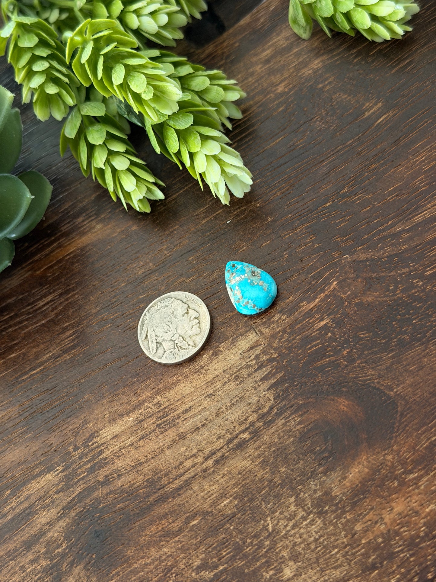 Blue Bird Turquoise Cab