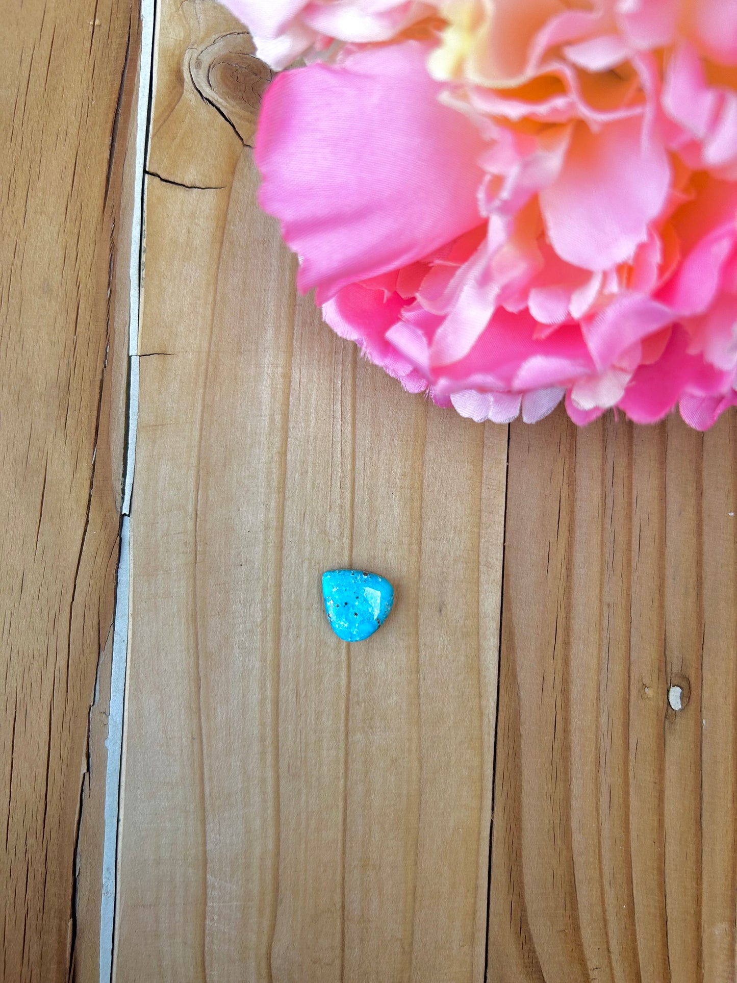Blue Bird Turquoise Cabs