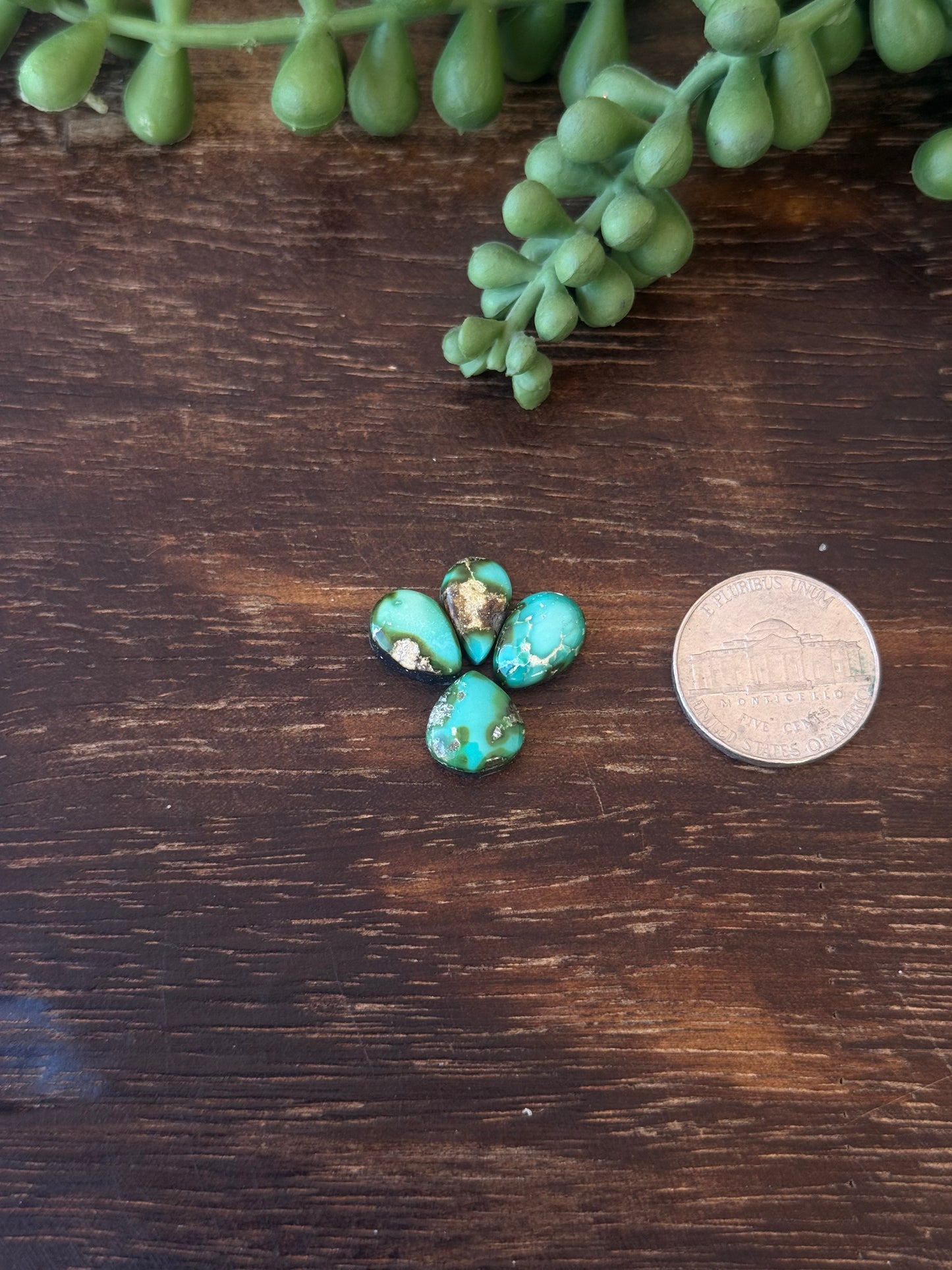 Sonoran Mountain Turquoise Cabs