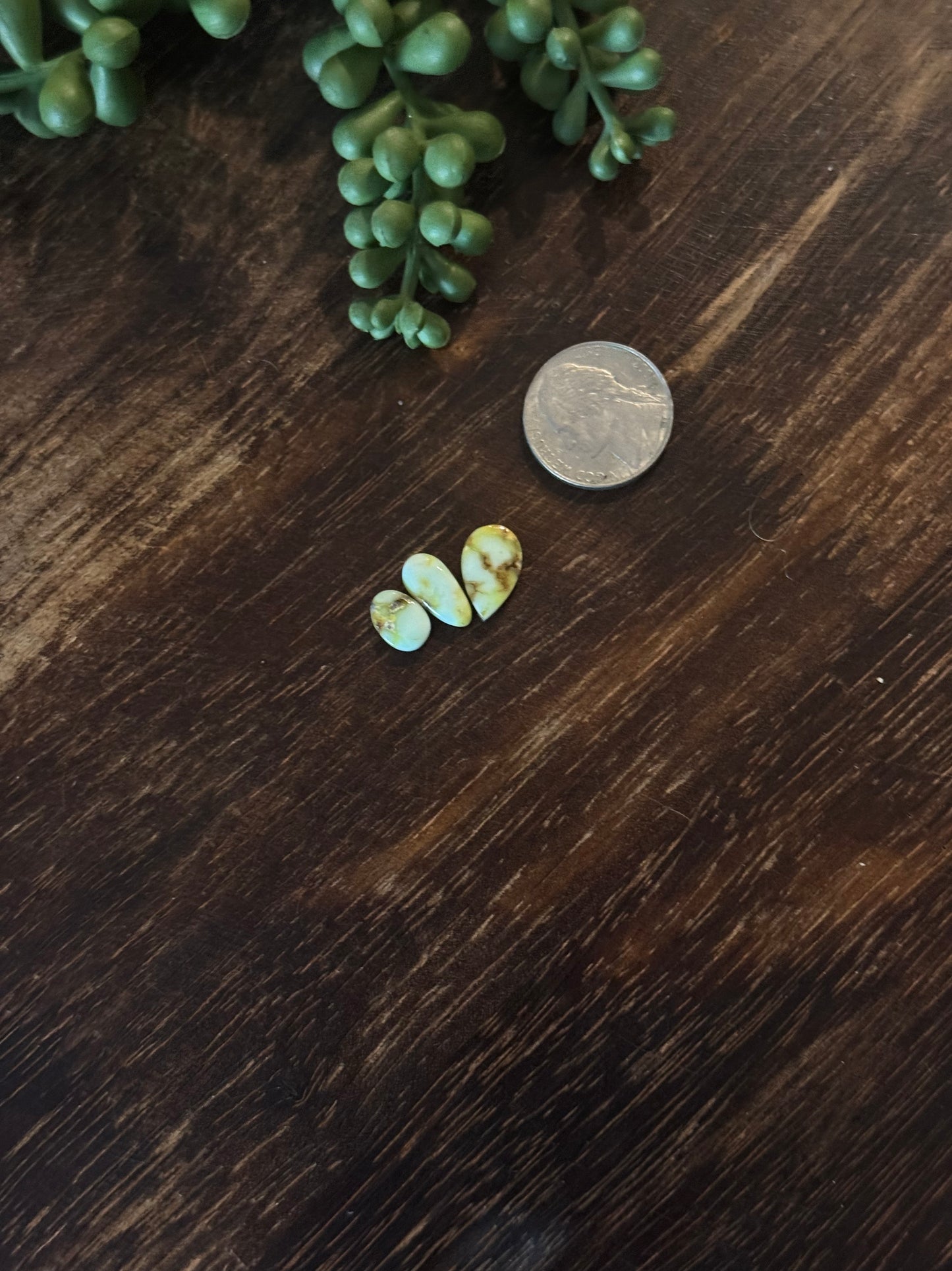 Palomino Variscite Cabs