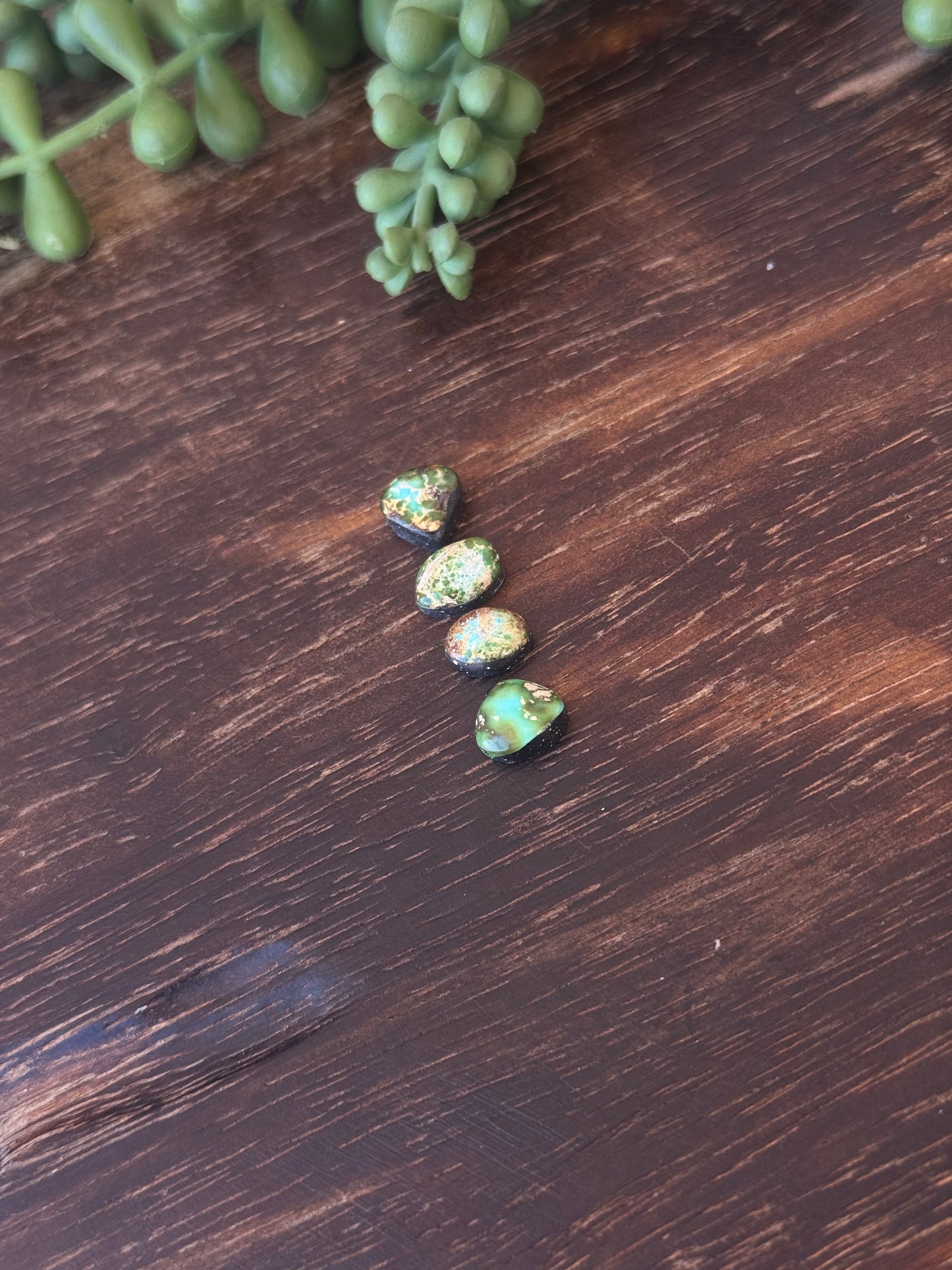 Sonoran Mountain Turquoise Cabs