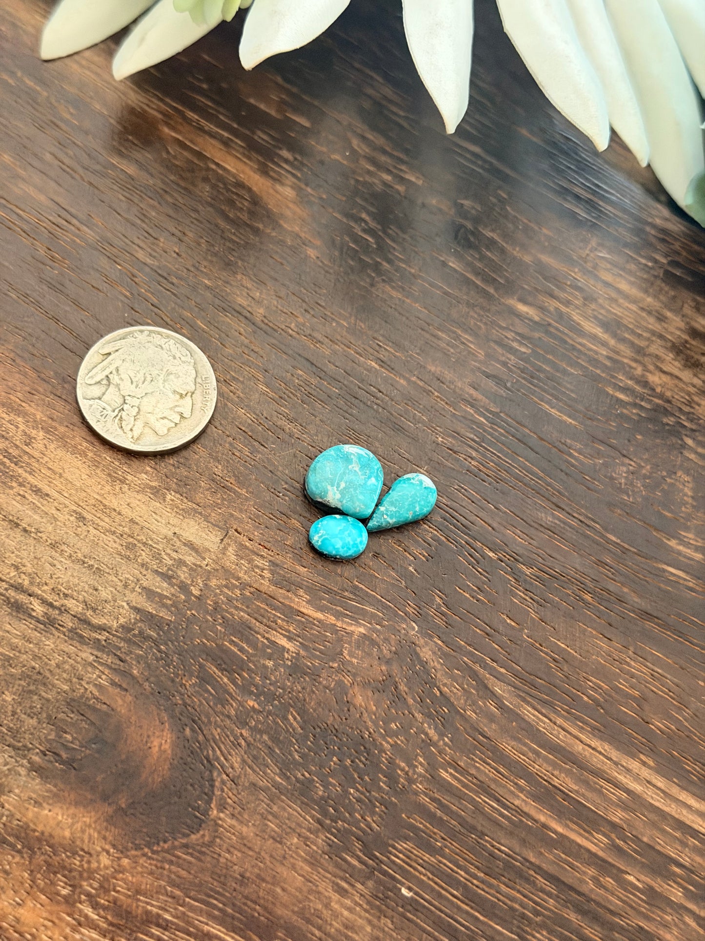 White Water Turquoise Cabs