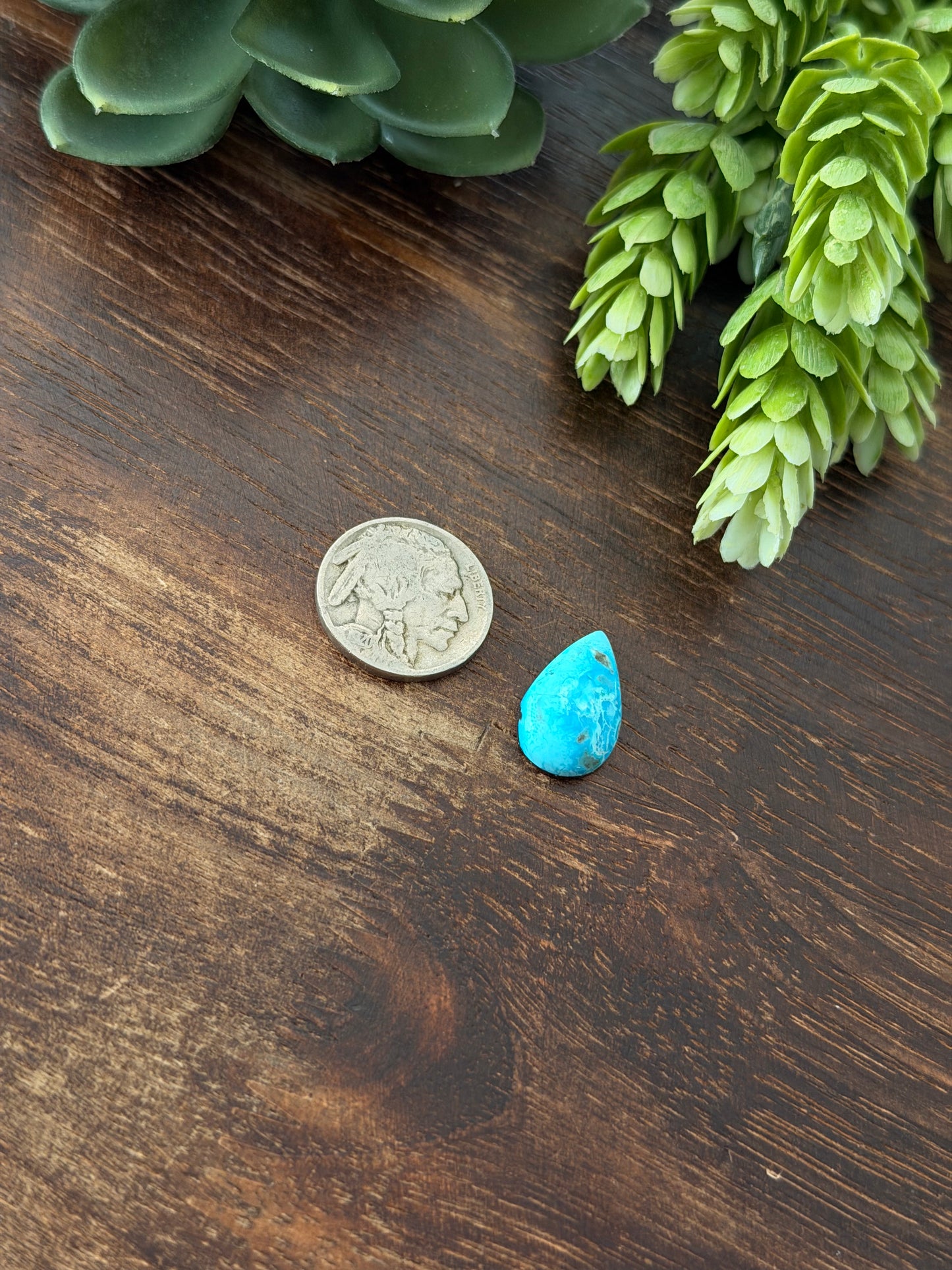 Blue Bird Turquoise Cab
