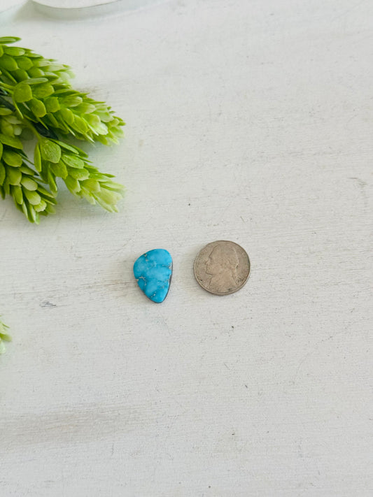 Blue Bird Turquoise Cab