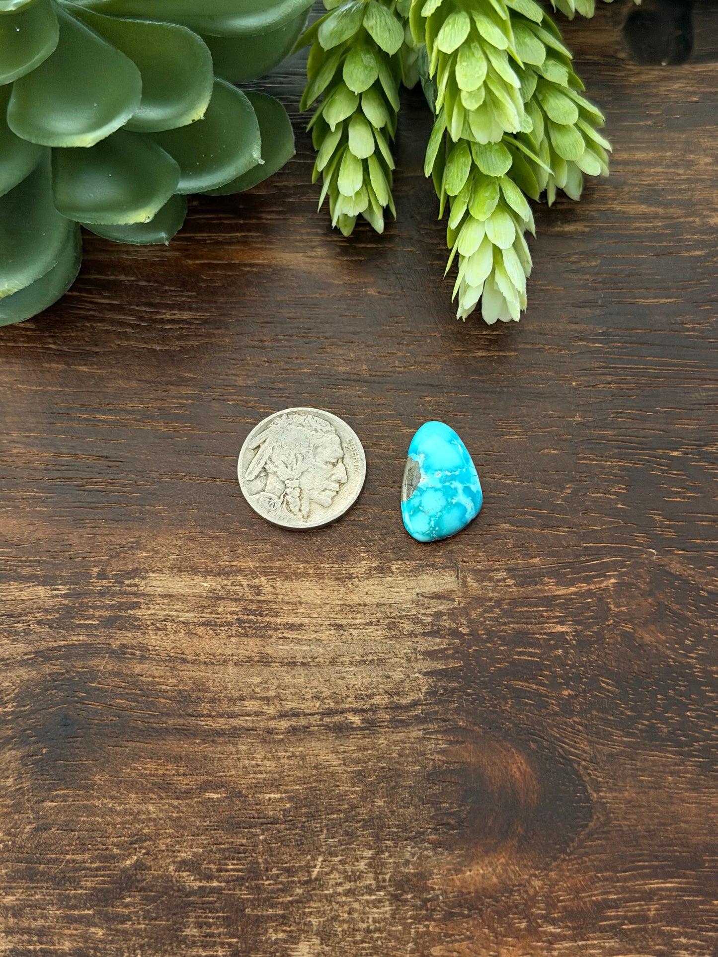 Blue Bird Turquoise Cab