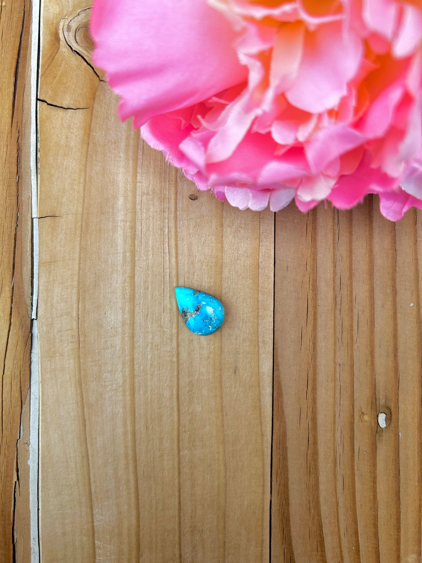 Blue Bird Turquoise Cabs