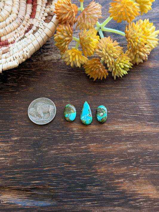 Sonoran Mountain Turquoise Cabs