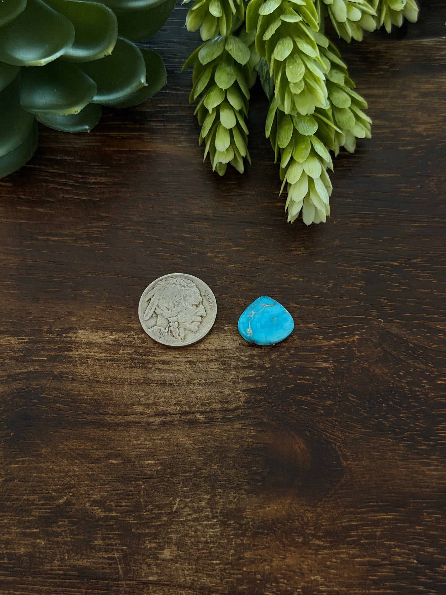 Blue Bird Turquoise Cab
