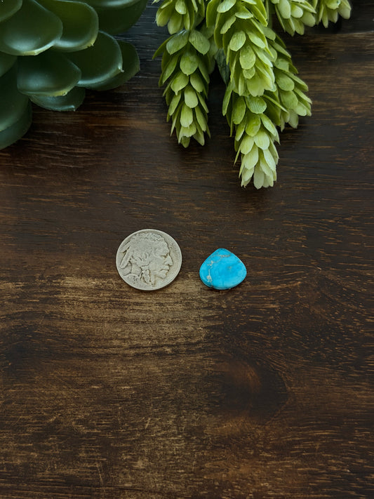 Blue Bird Turquoise Cab