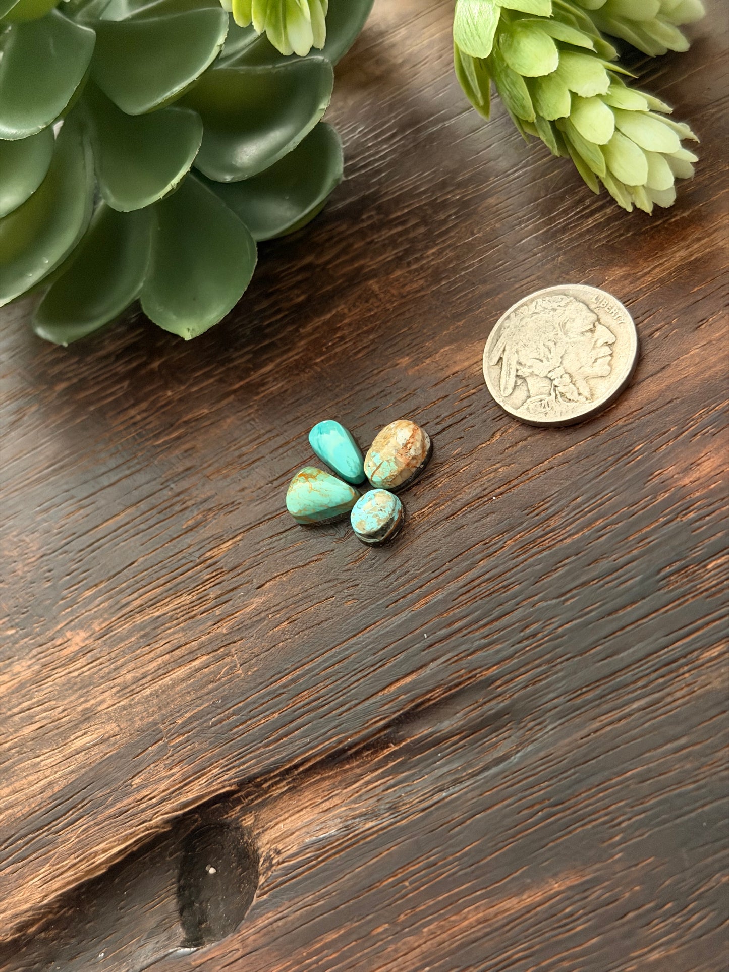 Evans Turquoise Cabs