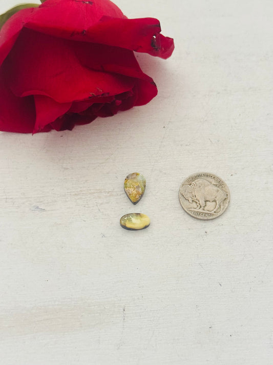 Palomino Variscite Cabs