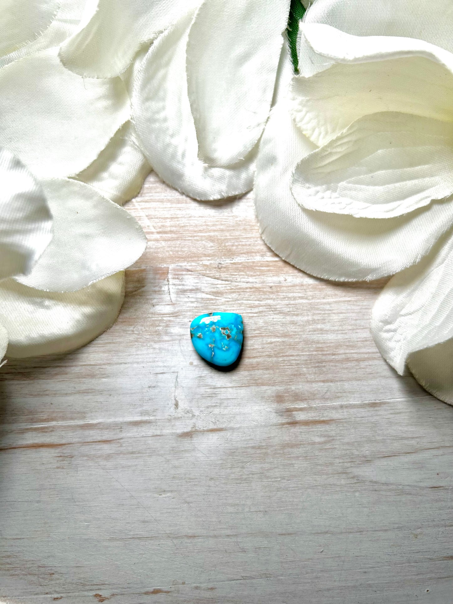 Blue Ridge Turquoise Cab