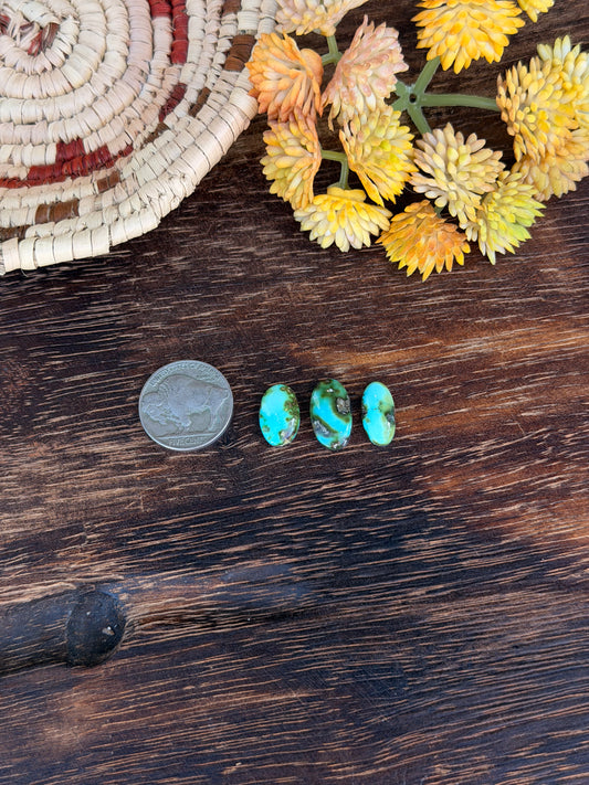 Sonoran Mountain Turquoise Cabs