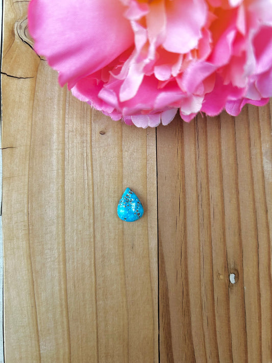 Blue Bird Turquoise Cabs