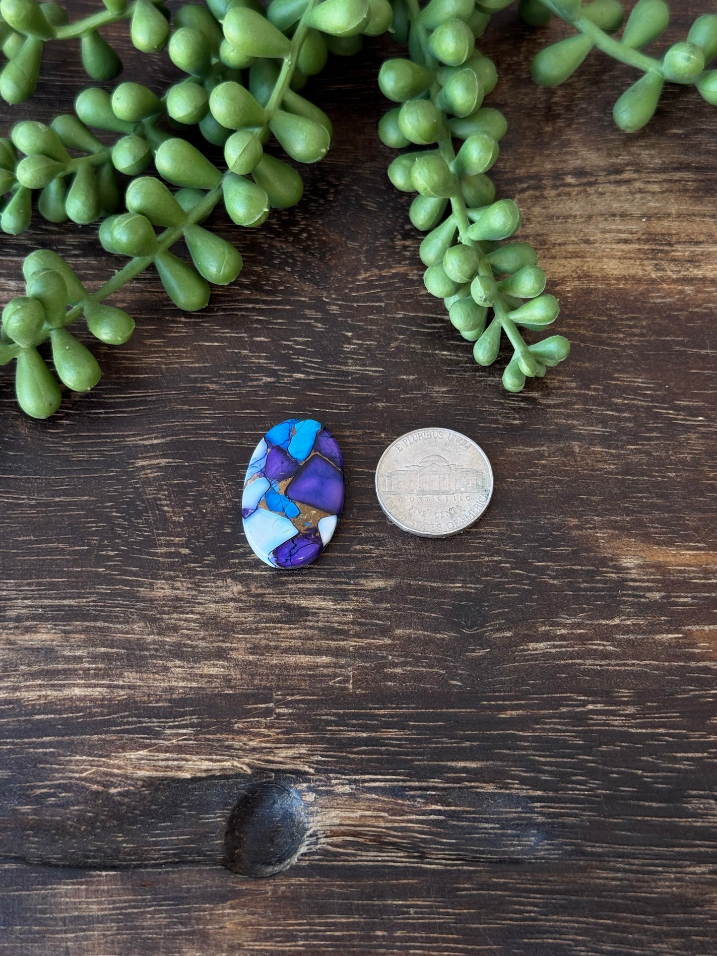 Purple Dahlia Composite Cabs