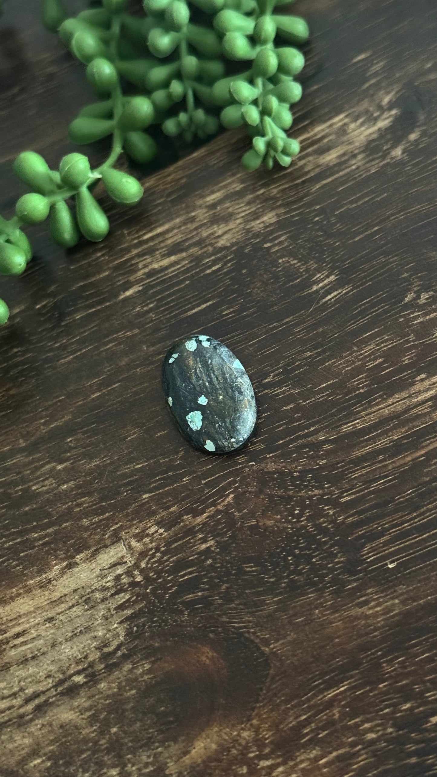 Black Jack Turquoise Cab