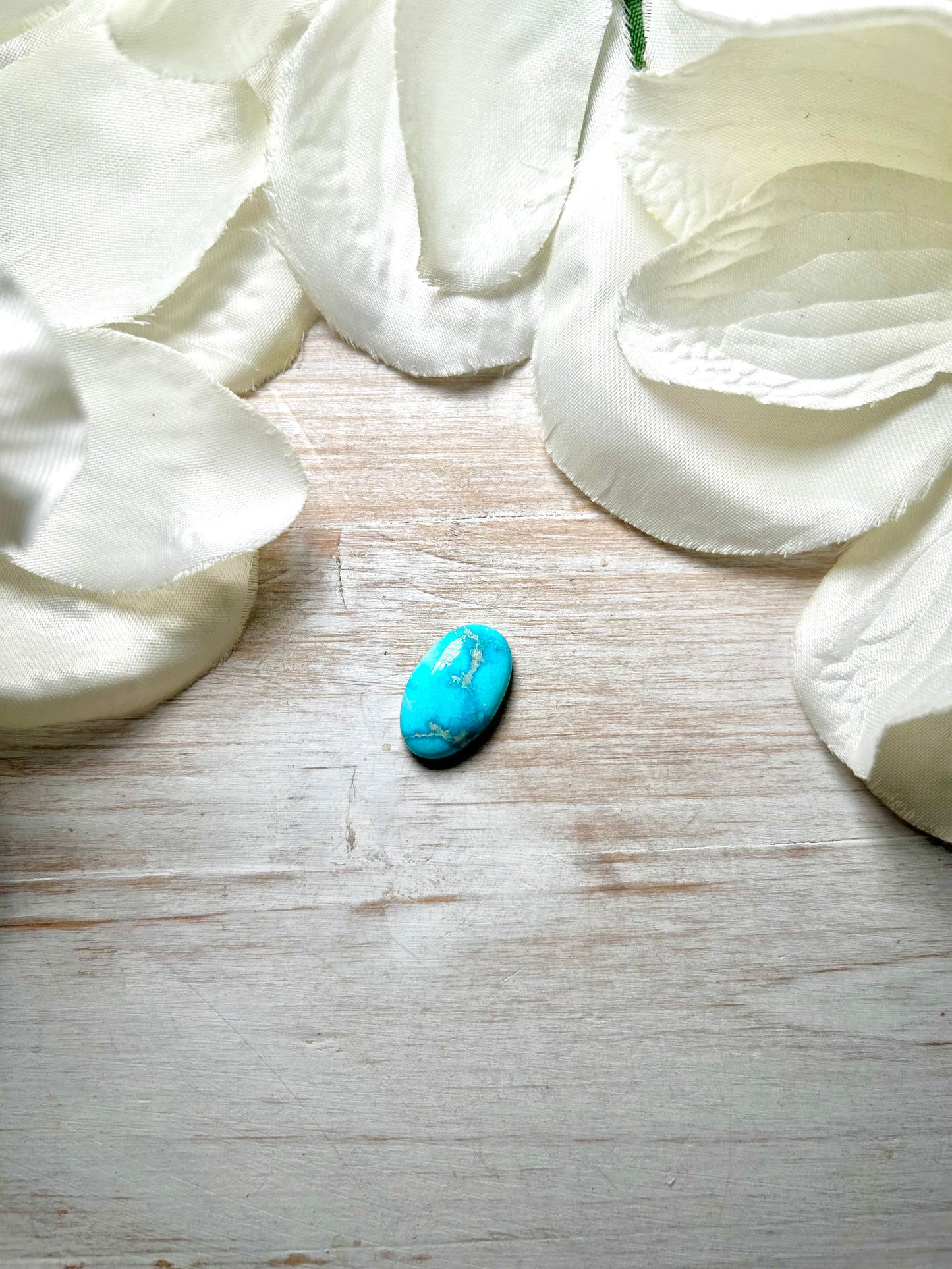 Blue Ridge Turquoise Cab