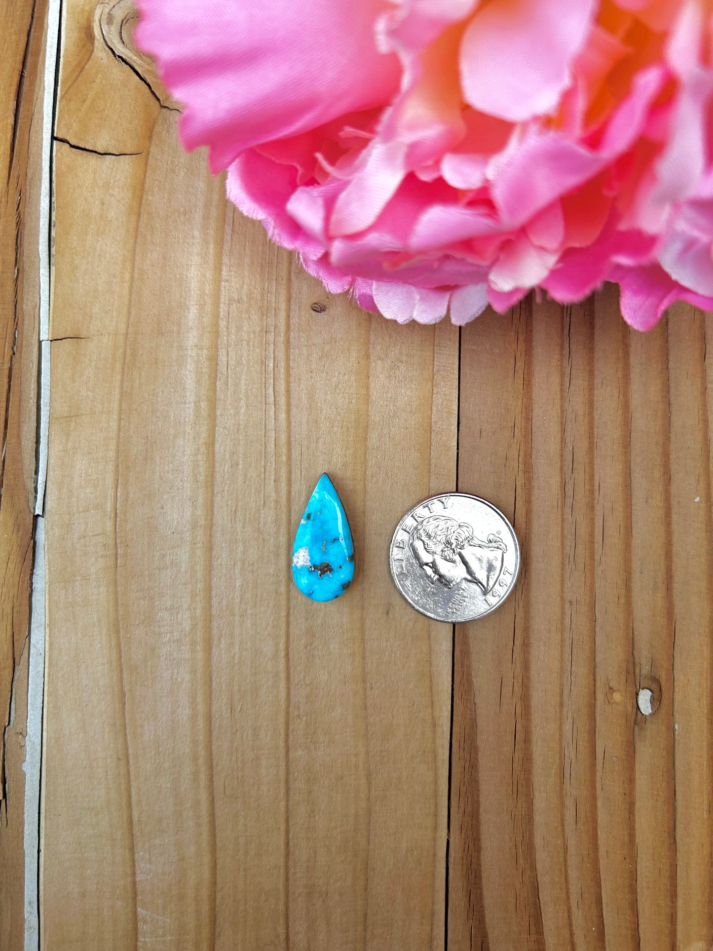 Blue Bird Turquoise Cabs