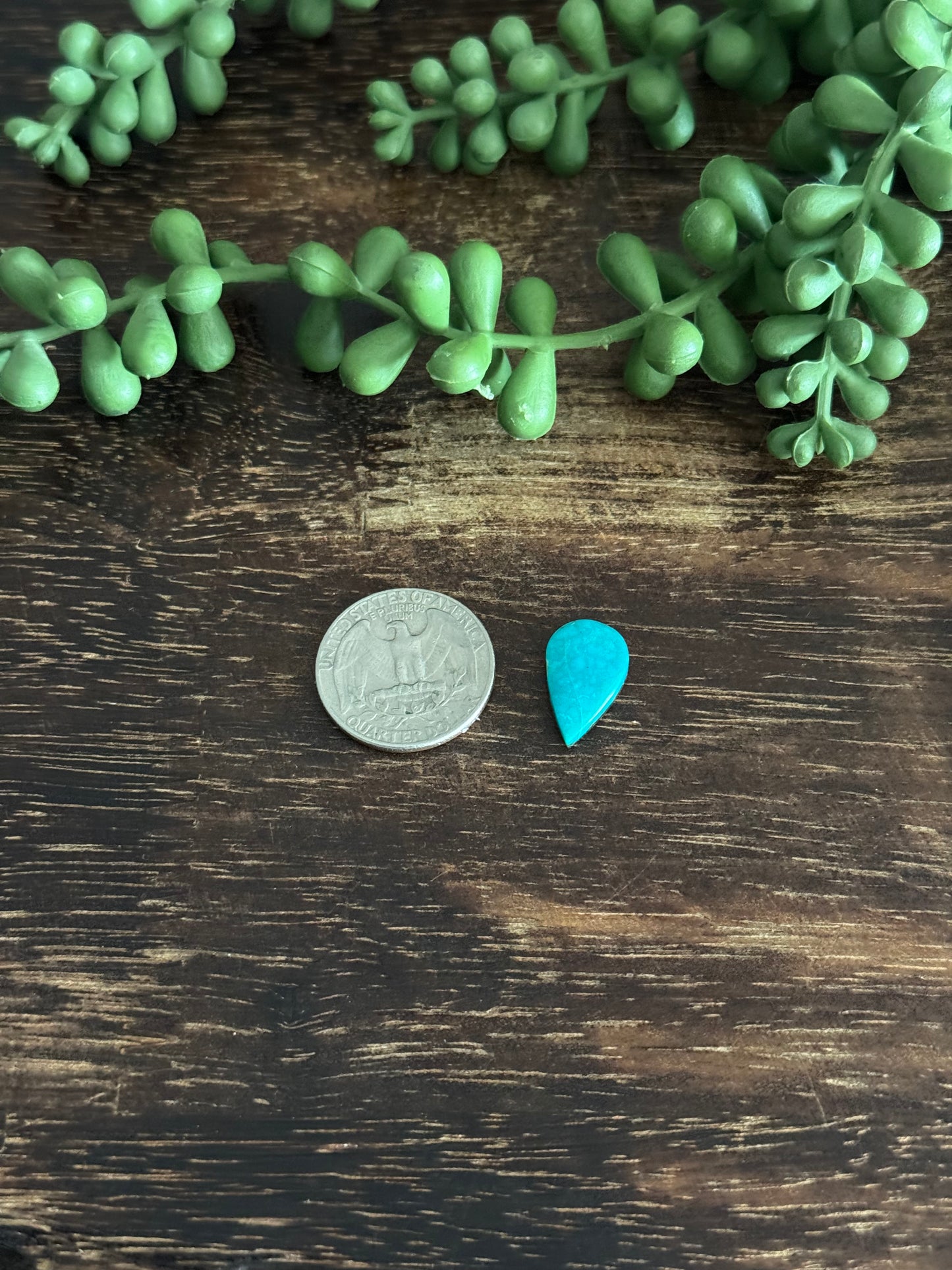 Kingman Turquoise Cab