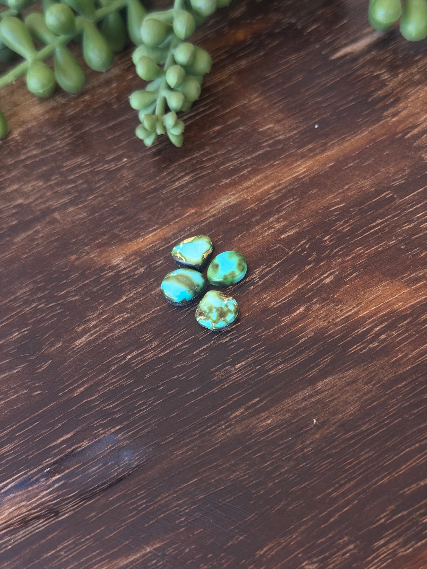 Sonoran Mountain Turquoise Cabs