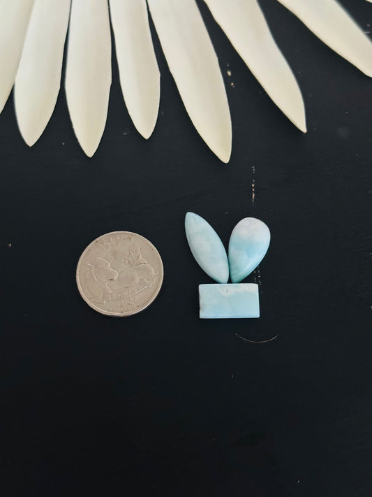 Larimar Cabs