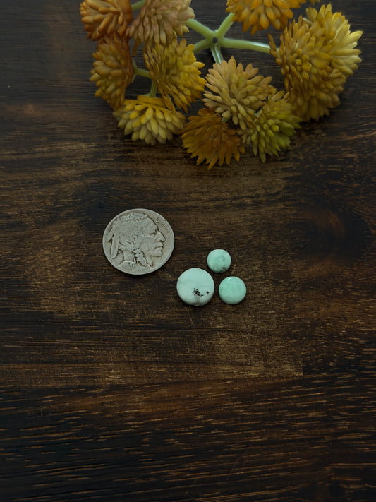 Paloma Variscite Cabs