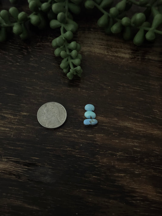 Golden Hills Turquoise Cabs