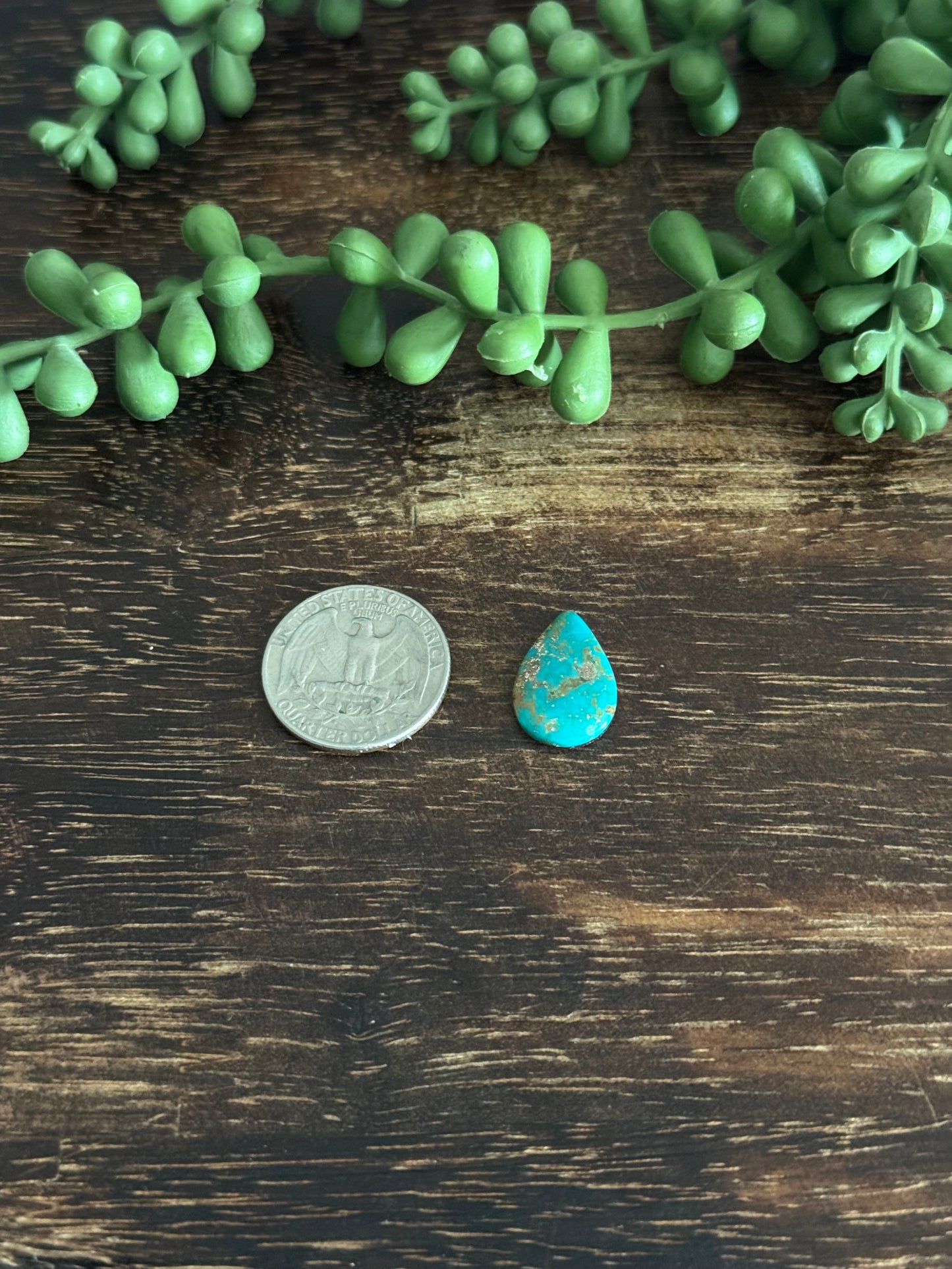 Kingman Turquoise Cab