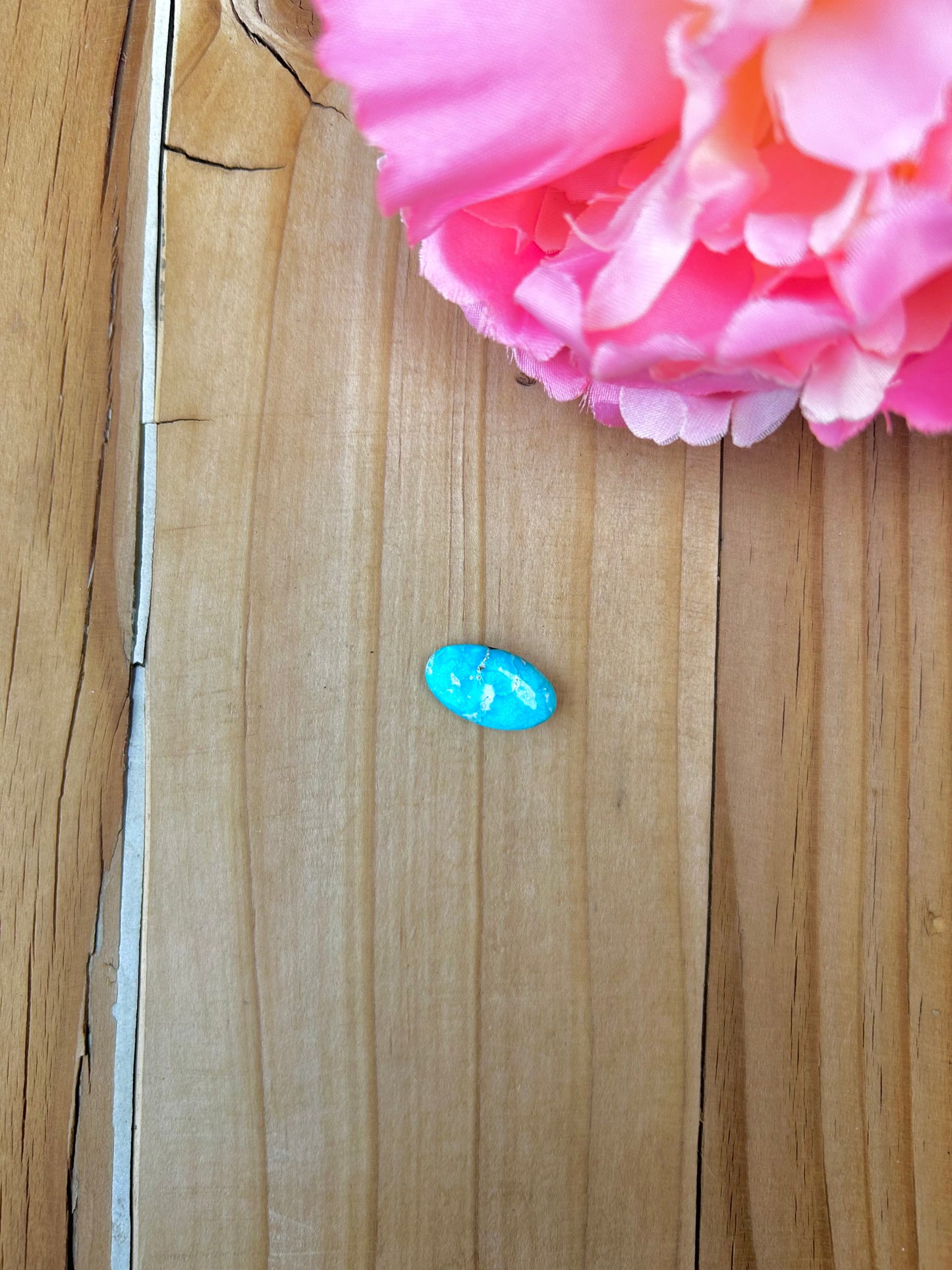 Blue Bird Turquoise Cabs
