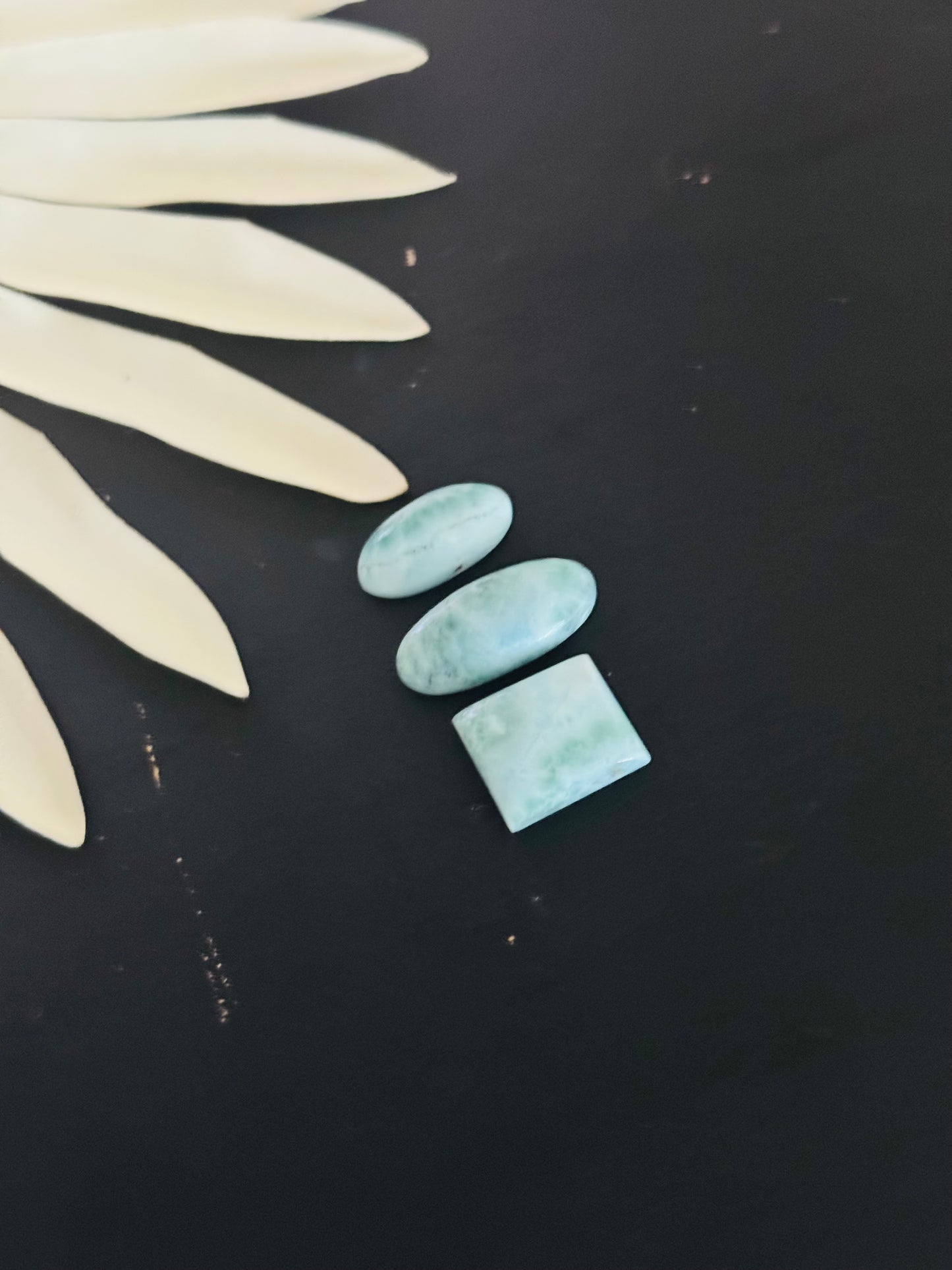 Larimar Cabs