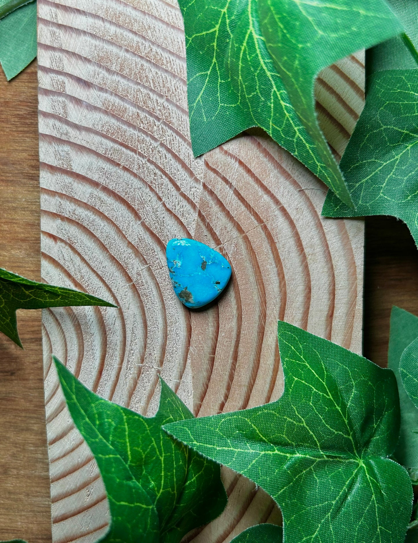 Blue Bird Turquoise Cabs