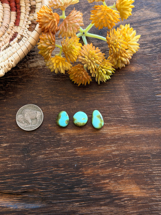 Sonoran Mountain Turquoise Cabs