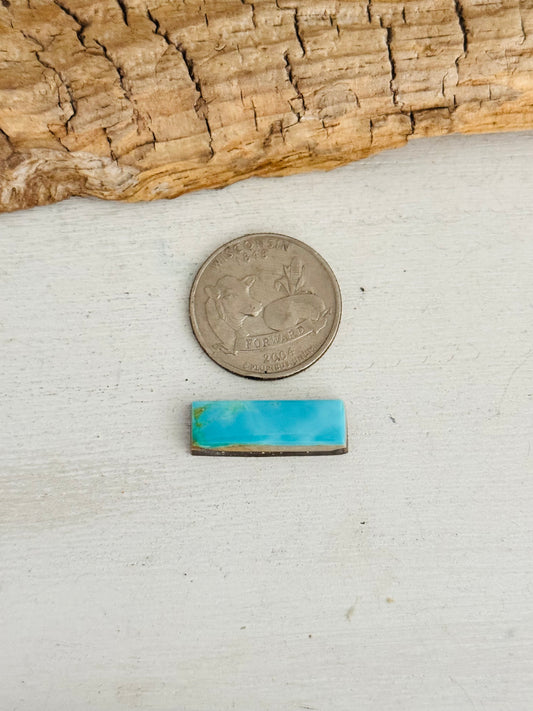 Natural Kings Manassa Turquoise Cab