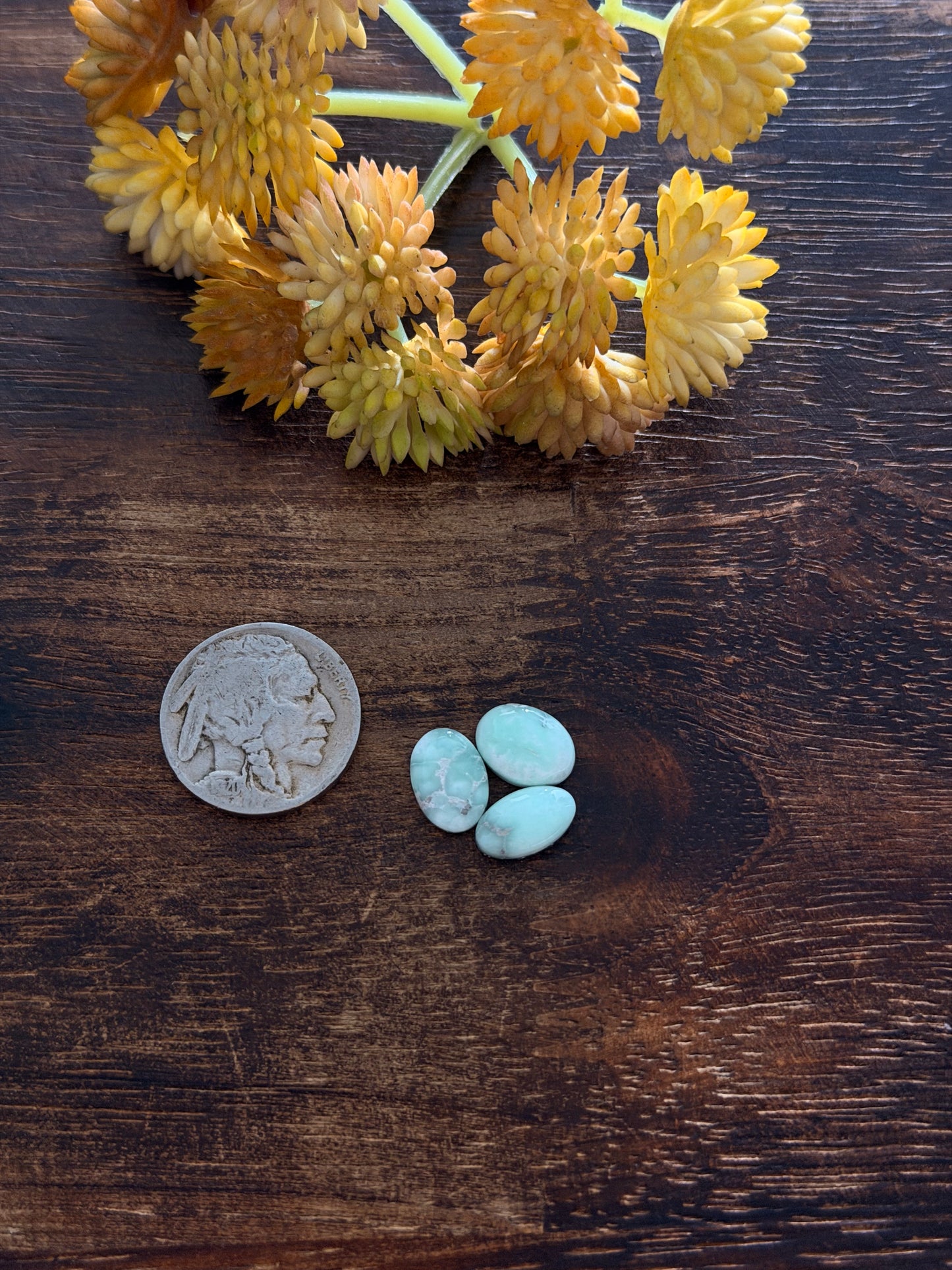 Paloma Variscite Cabs