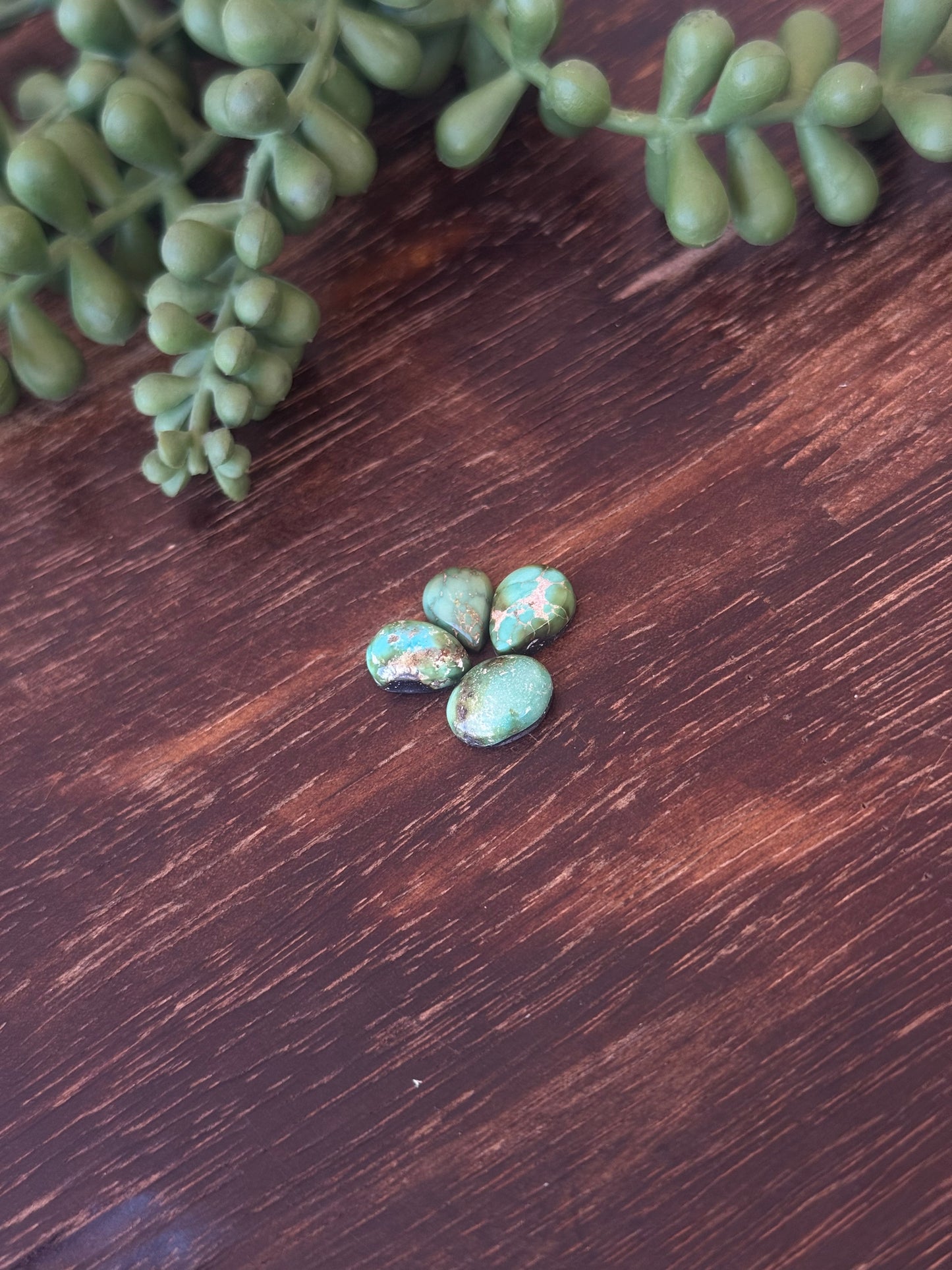 Sonoran Mountain Turquoise Cabs