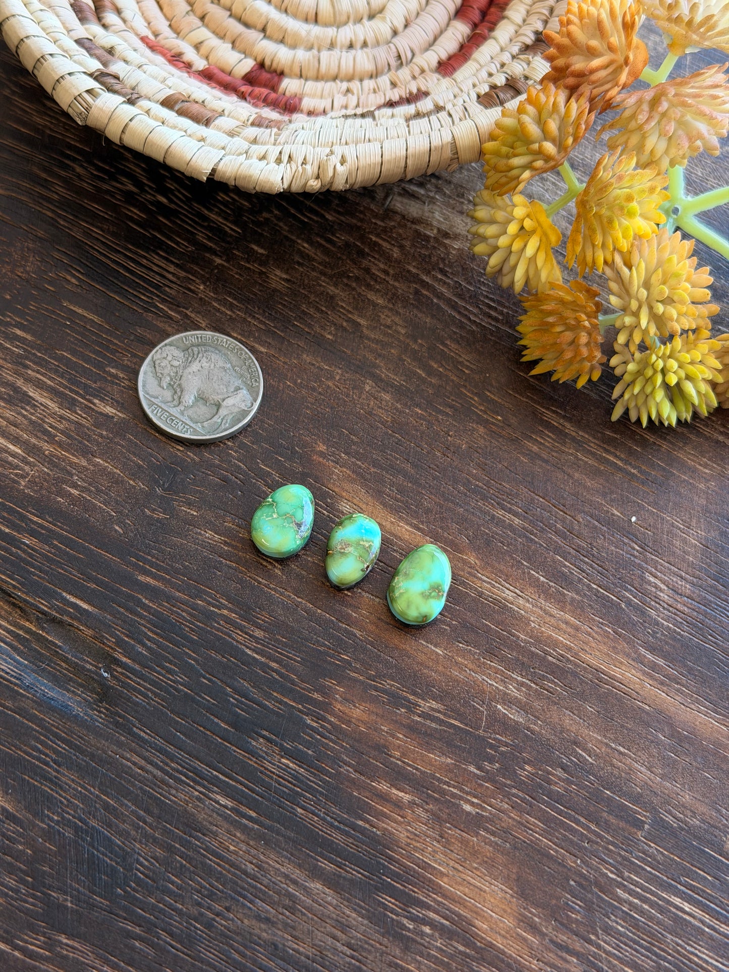 Sonoran Mountain Turquoise Cabs