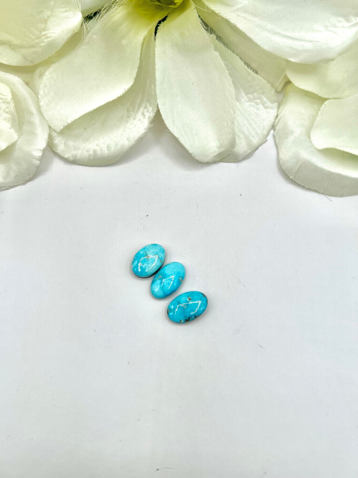 Blue Ridge Turquoise Cabs