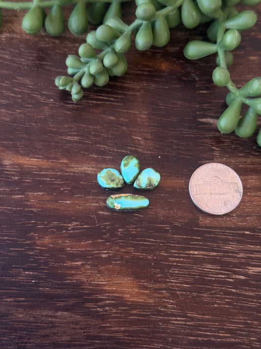 Sonoran Mountain Turquoise Cabs