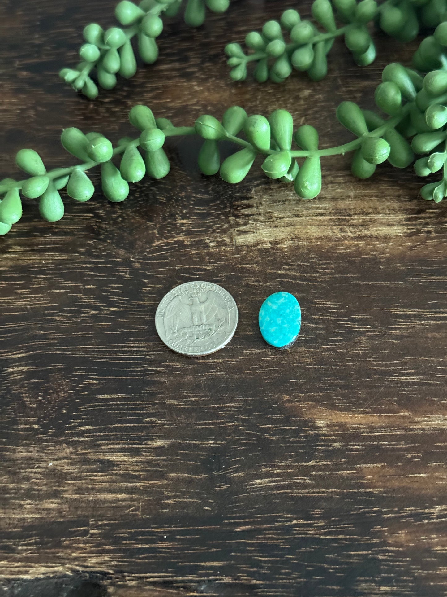 Kingman Turquoise Cab
