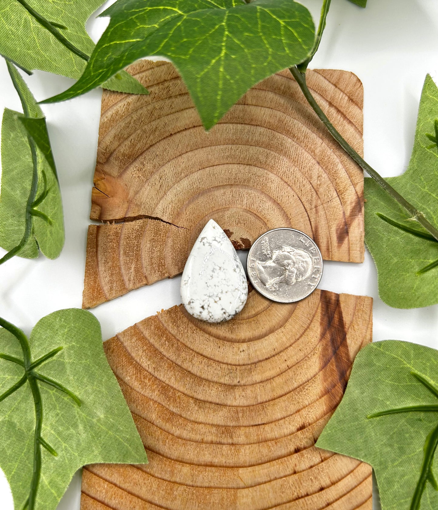White Buffalo Cabs