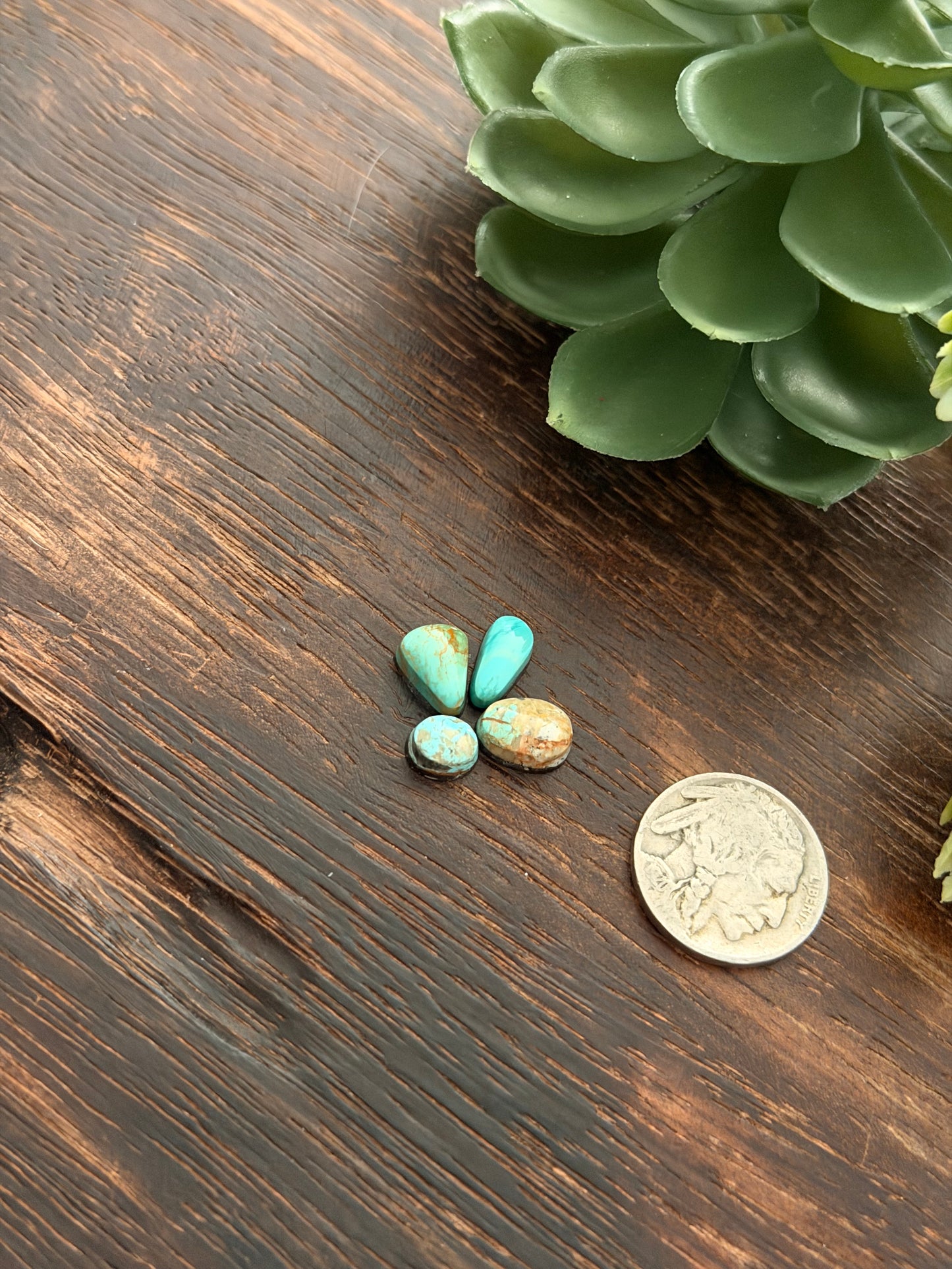 Evans Turquoise Cabs